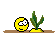 Pflanze